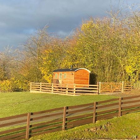 オスウェストリー The Snug At Coed Y Gaerヴィラ エクステリア 写真