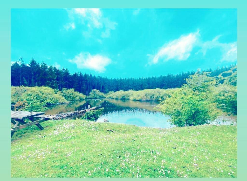 オスウェストリー The Snug At Coed Y Gaerヴィラ エクステリア 写真